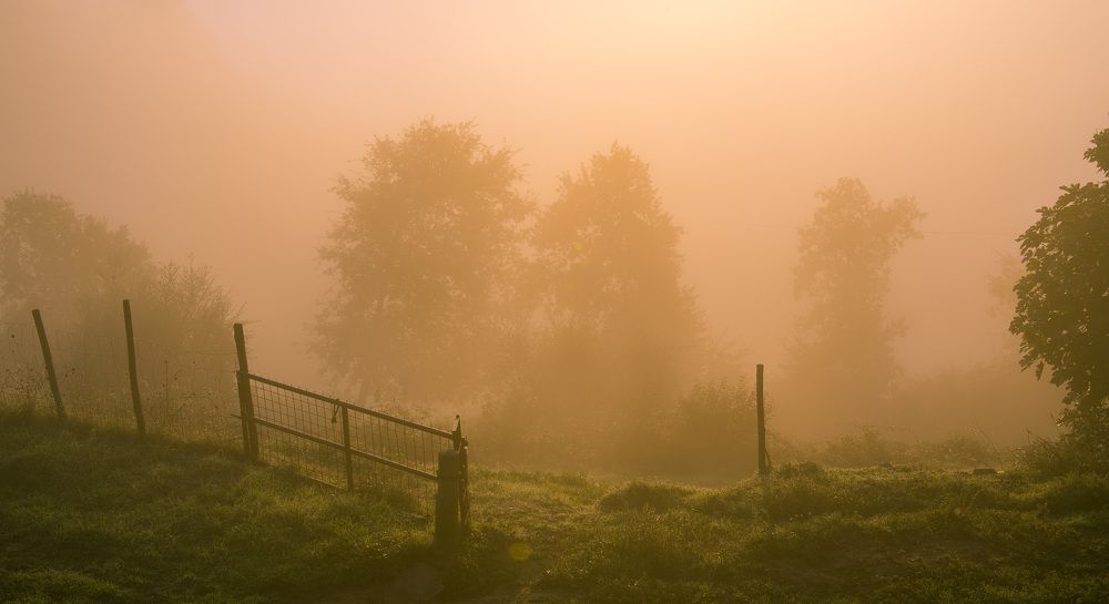 Туманными рассветами