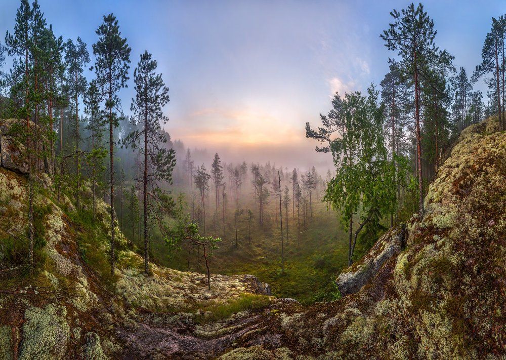Каменные берега заросшего болота