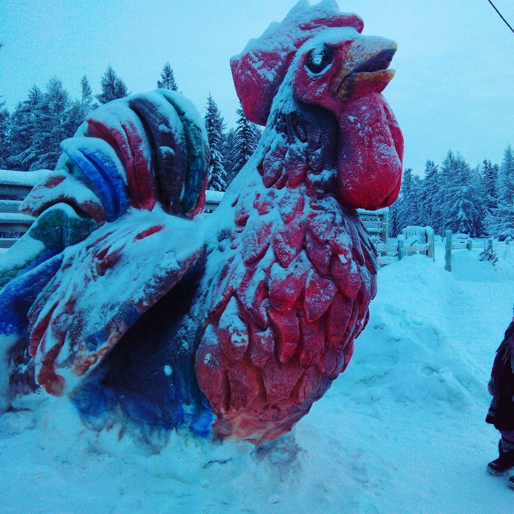 Какой огромный!