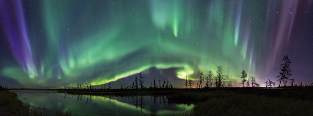 Танец над болотом