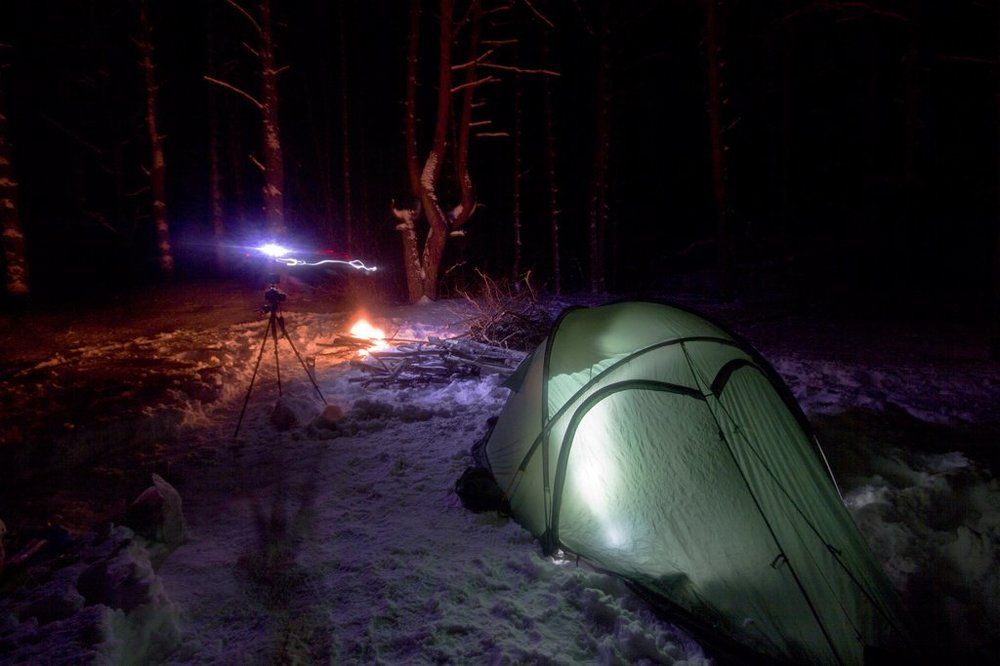 Ночь в лесу