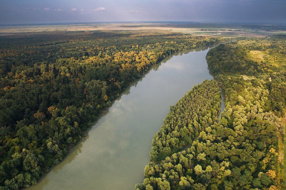 Проплывая над рекой