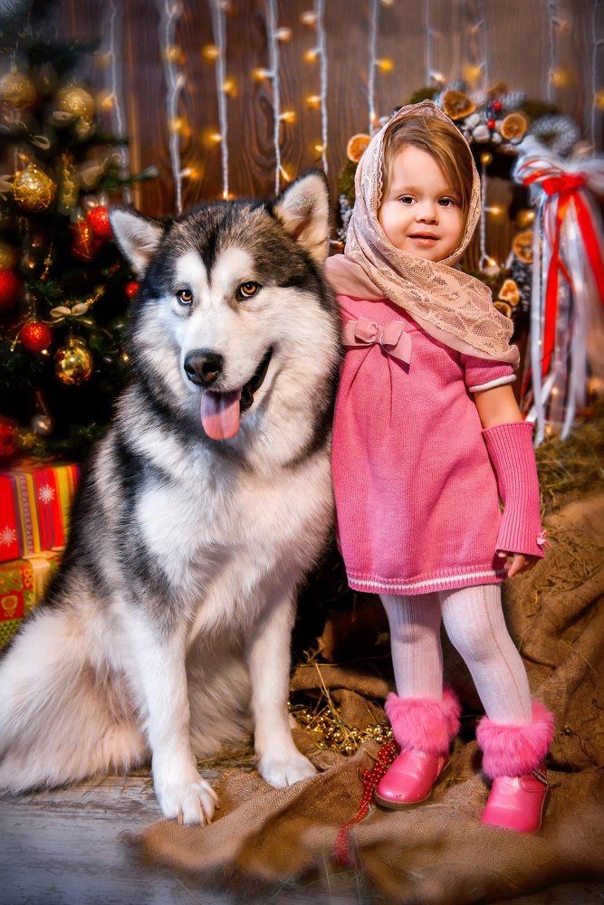 Есения и Серый Волк