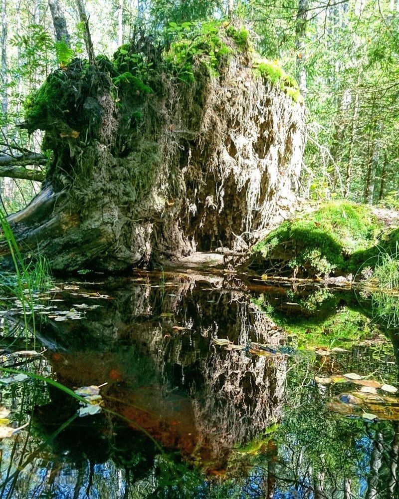 Фотография автора Ариша