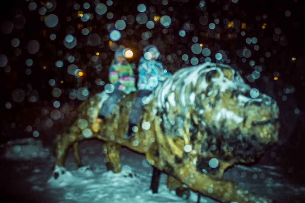 В Рождество - верхом на льве