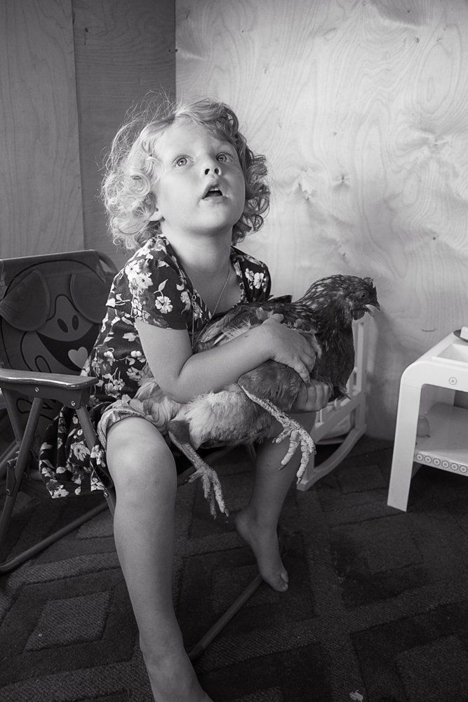 Нюра и курица