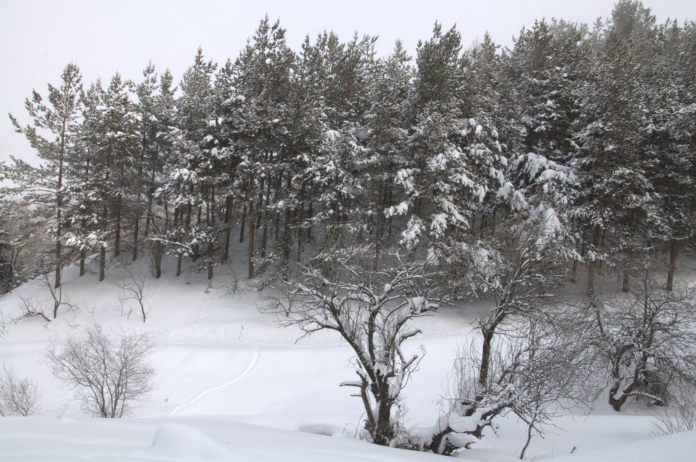 Зима в горах