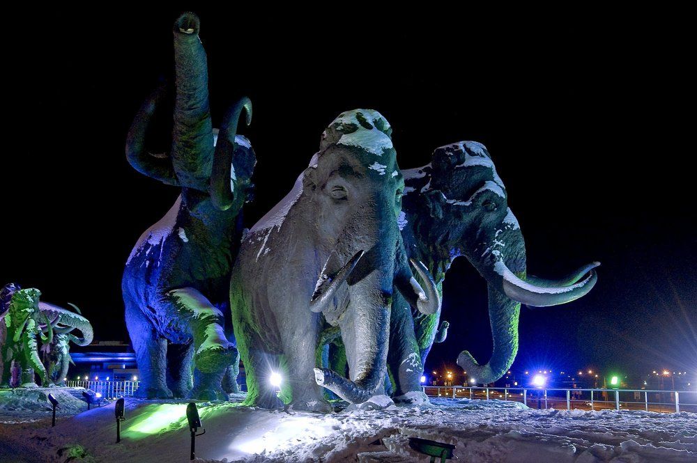 Из глубины веков... Мамонты...