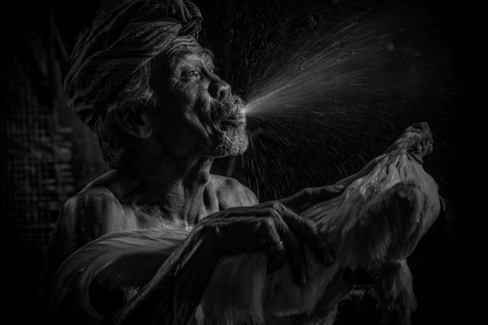 Bathing the Cockerel