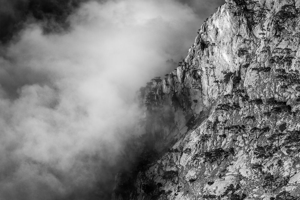 Всё поглощающий туман