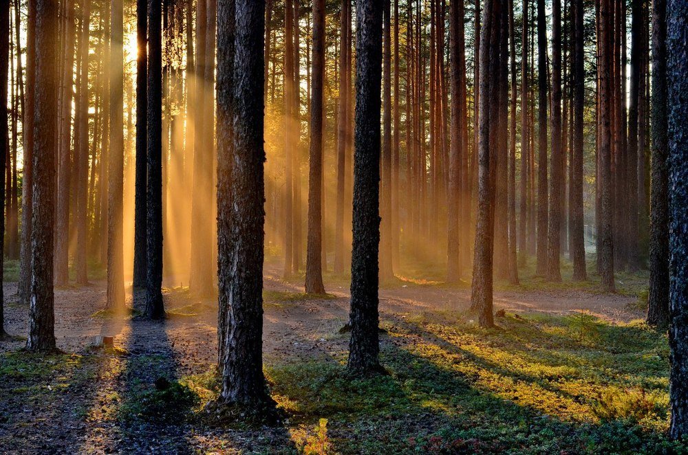 Карельский закат