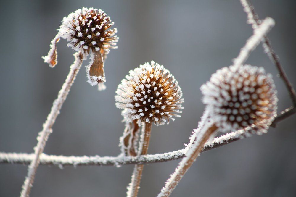 Photograph by Коротков Евгений