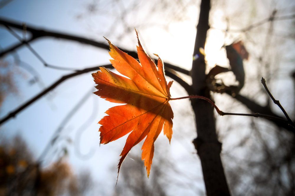 Photograph by Коротков Евгений