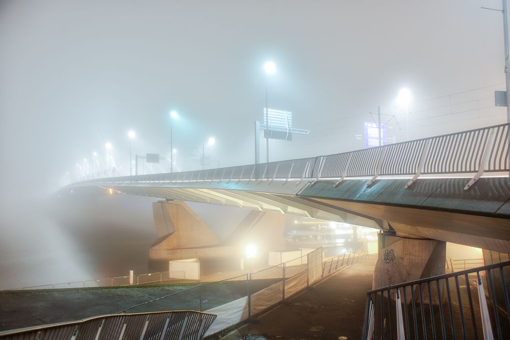 Rotterdam Fog