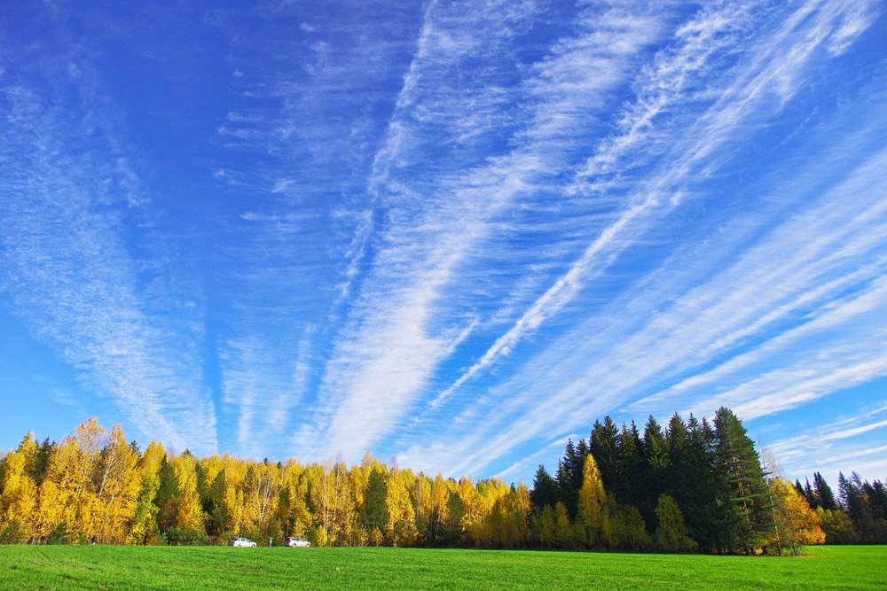 Осень в Удмуртии