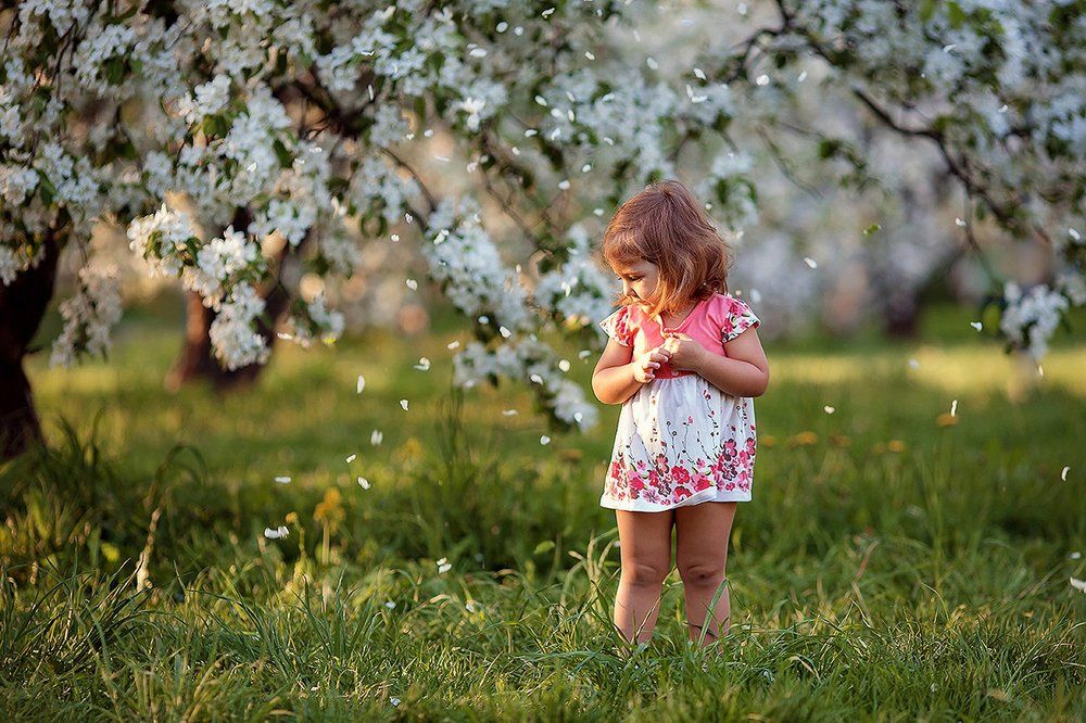 Photograph by Подольская Елена