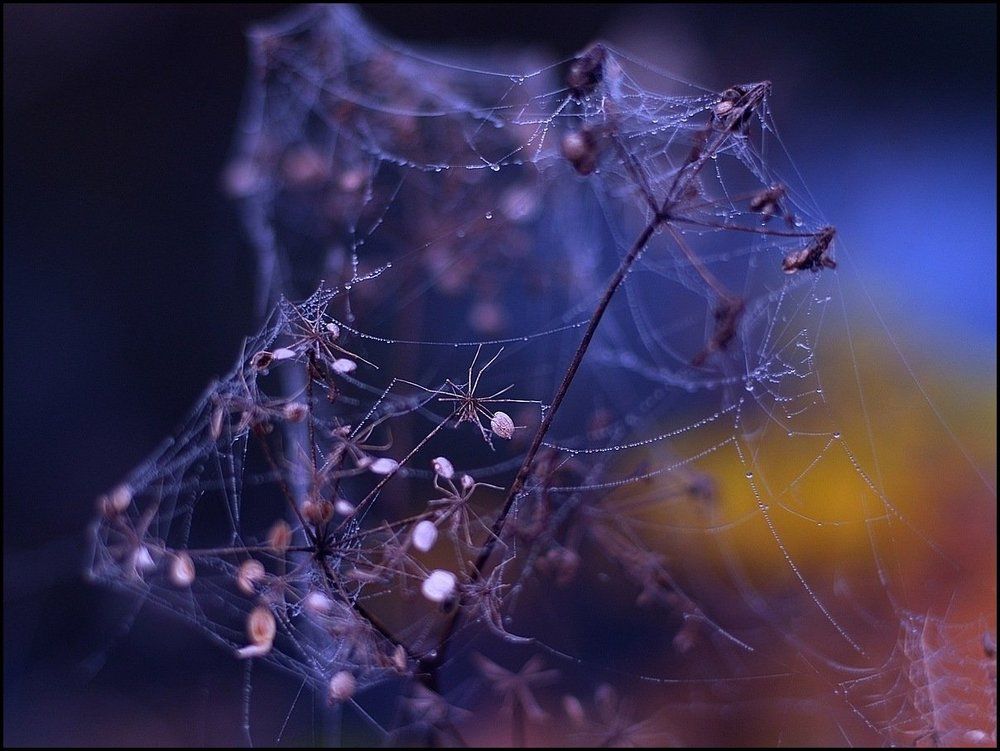 Где-то, на краю Вселенной...