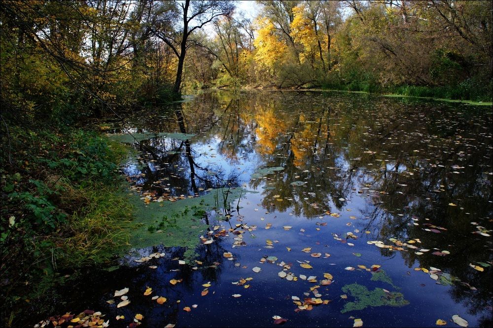 В одном из снов, Октября...