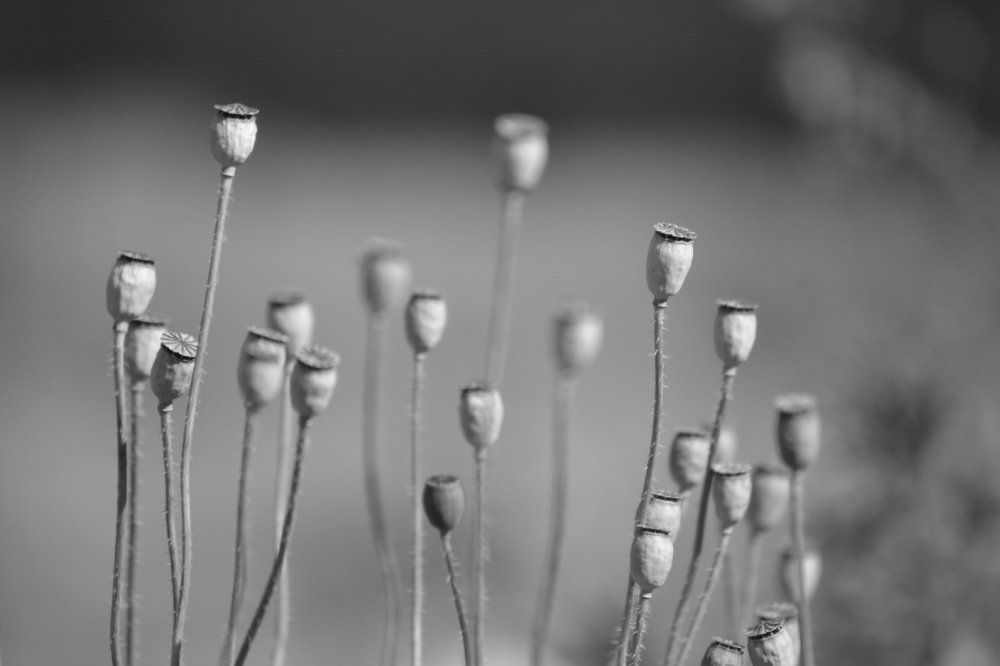 С грустью о лете....