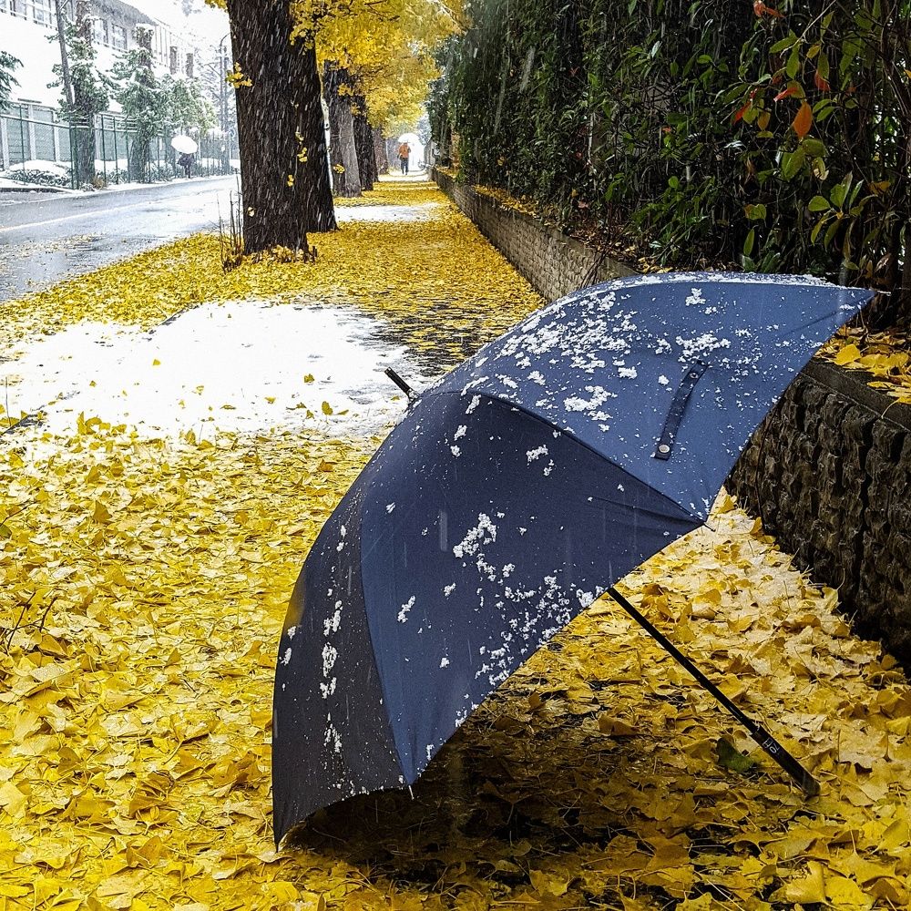 The Mixed up Autumn !!