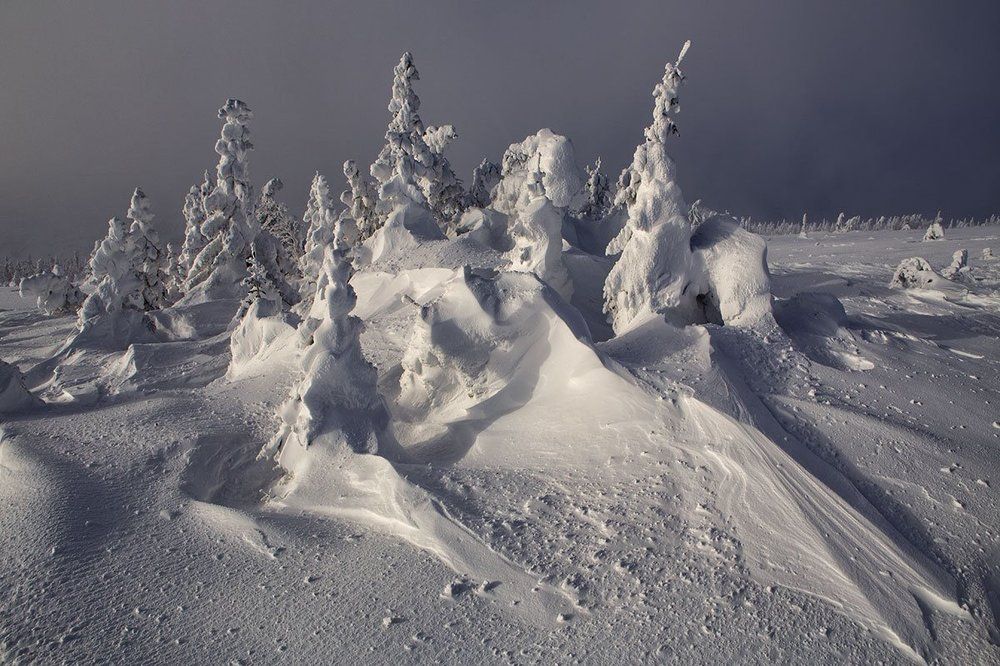 С Новым годом!