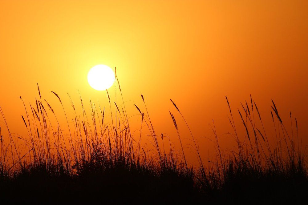 Evening Glow.