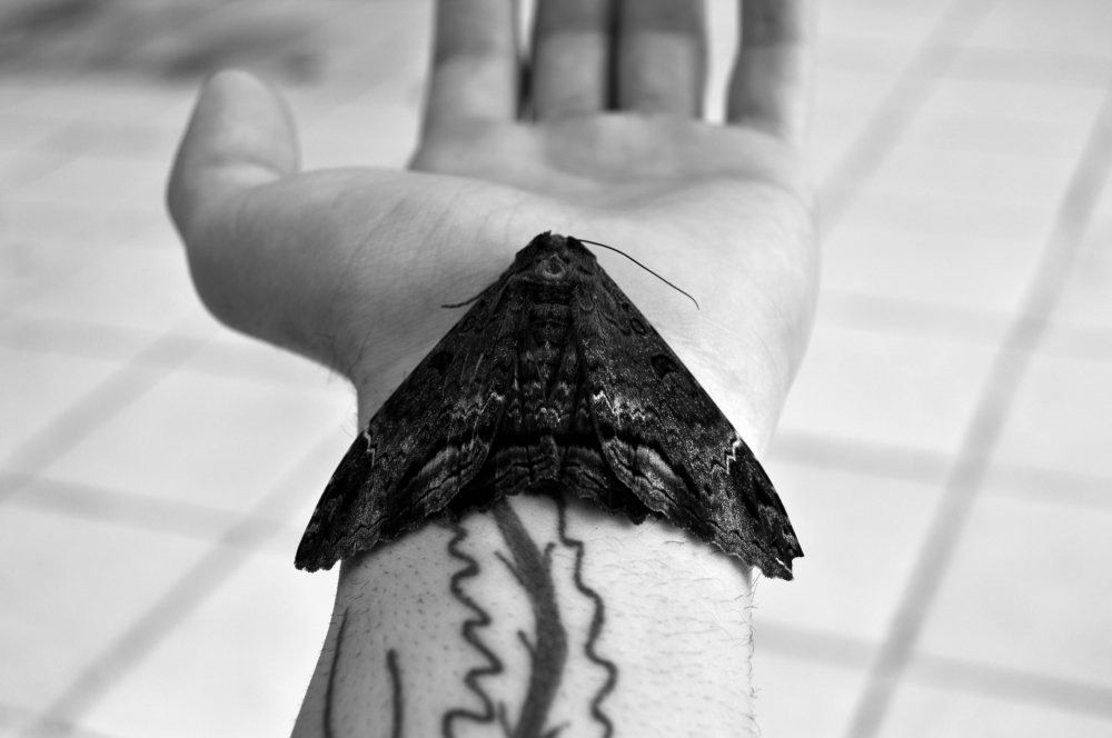 The Last Flight of the Witch