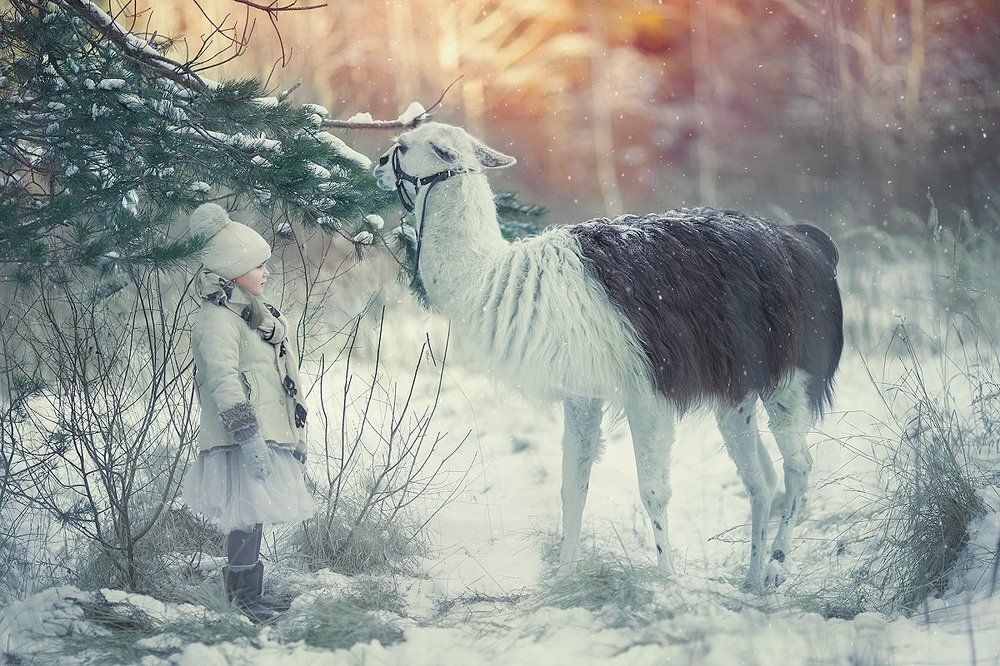 ЗИМНИЕ ПРОГУЛКИ