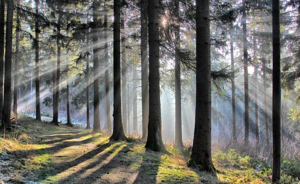 Здравствуй солнце!