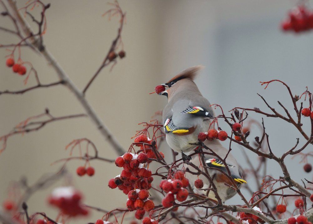 Удачный момент.