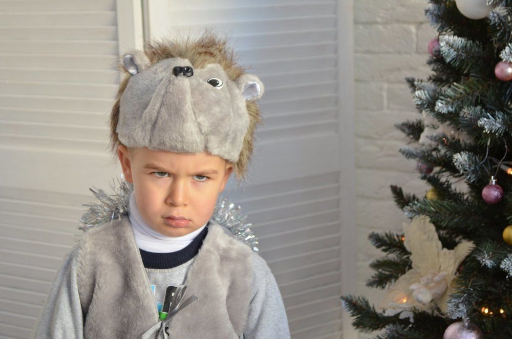 Тетин ежик)