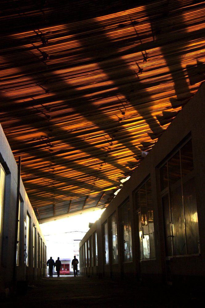 выйти из тени