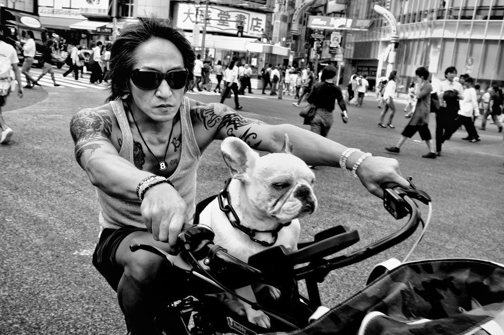 Photograph by Tatsuo Suzuki