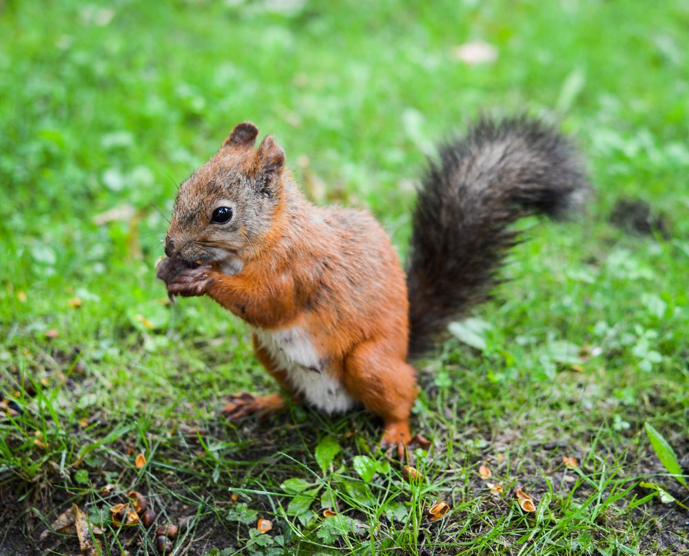 В глазах весь мир