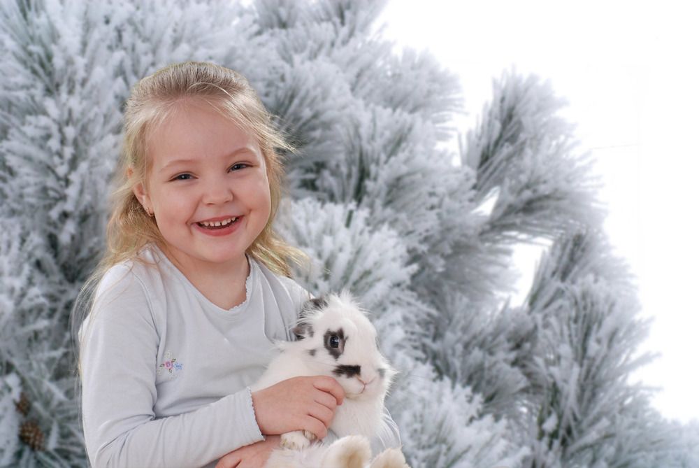 Мой маленький кролик