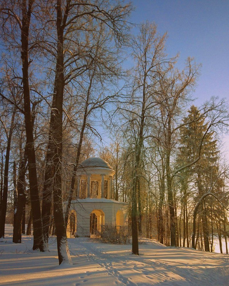 Фотография автора Ариша