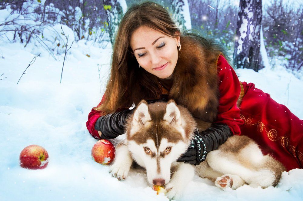 с хаски