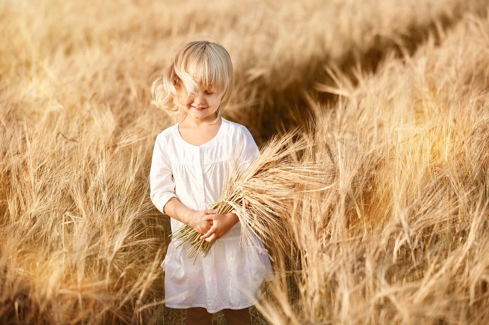 Ветер и солнце