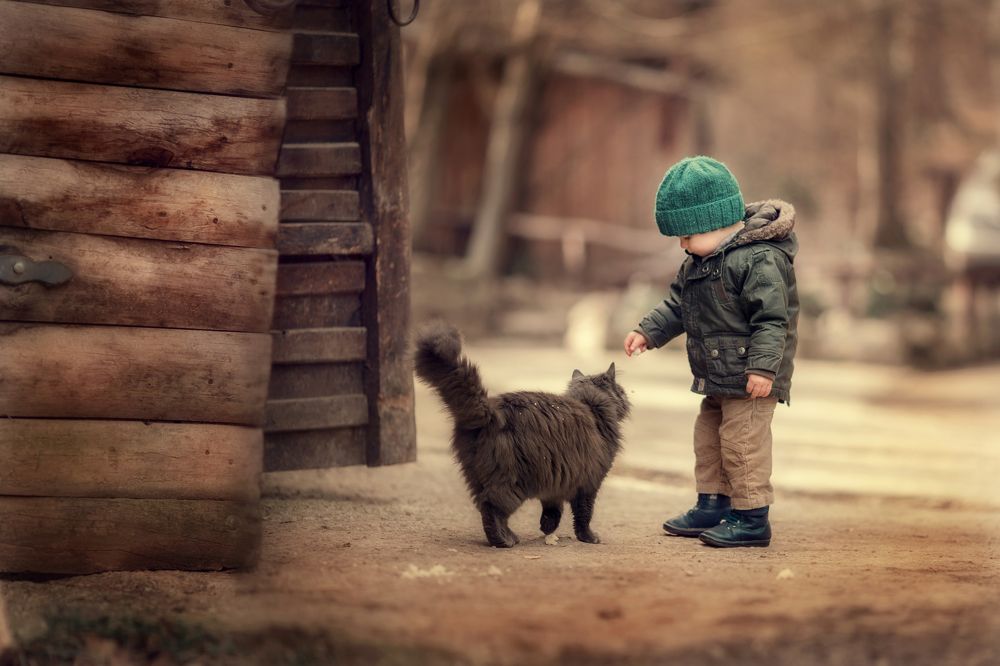 на казачем стане