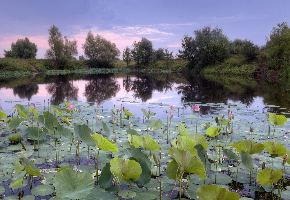 Озеро Лотосов