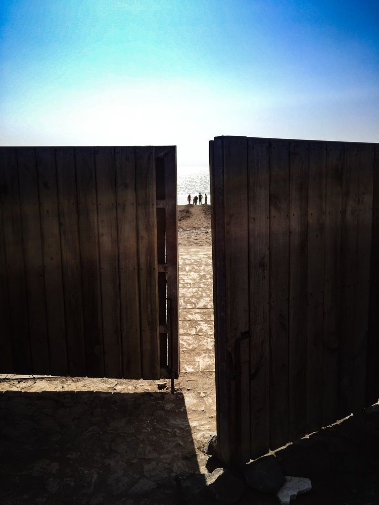 Please, play with me...!!!