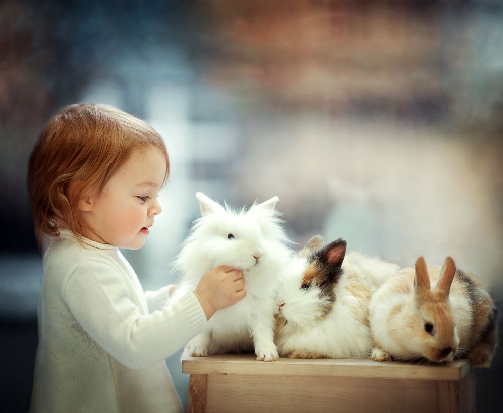 кроличья зима