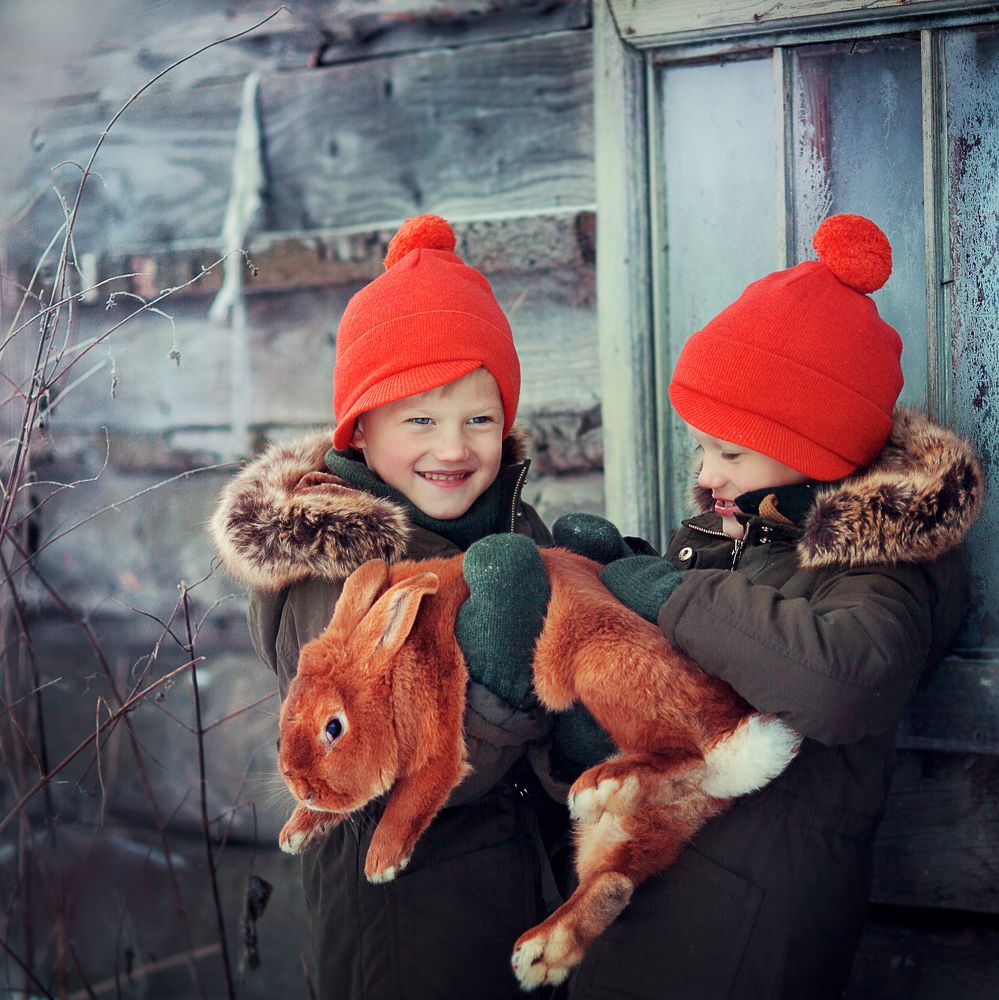 братцы кролики