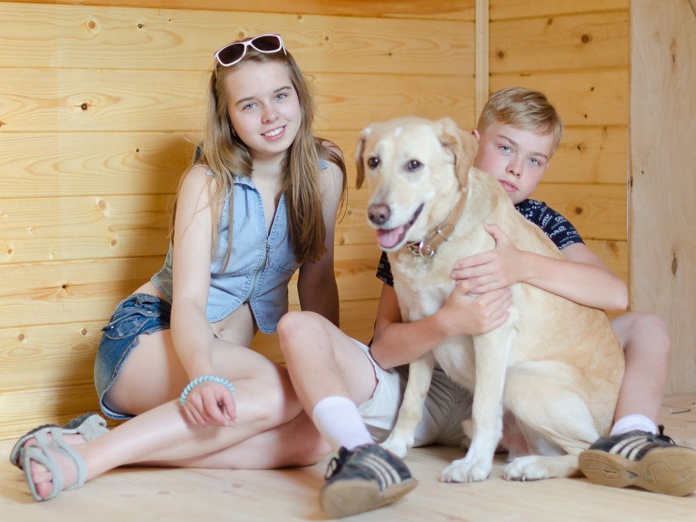 Неразлучные друзья