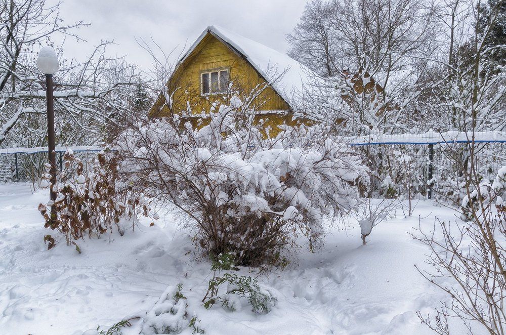 Снежный ноябрь