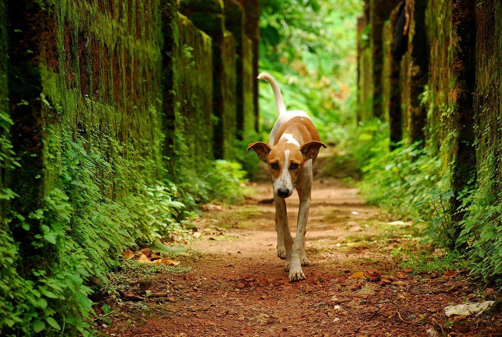 Фотография автора Mij-GUN