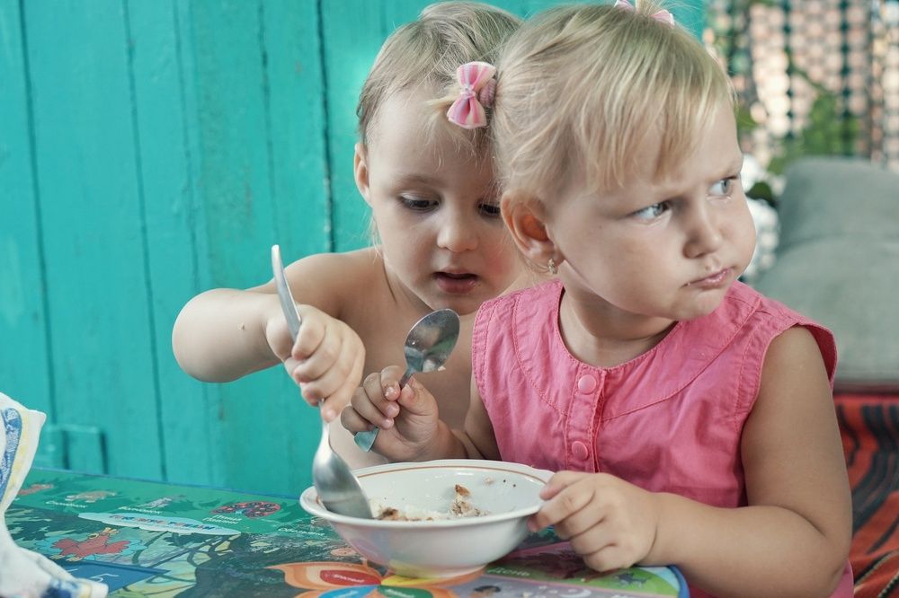 В большой семье... или угроза пришла не с той стороны