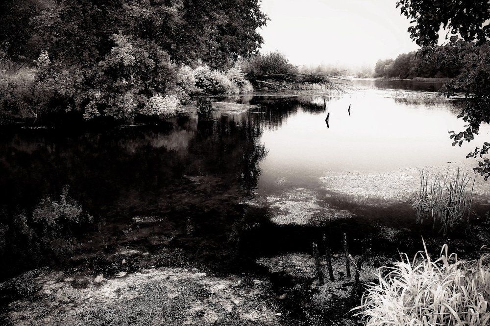 Черный пруд