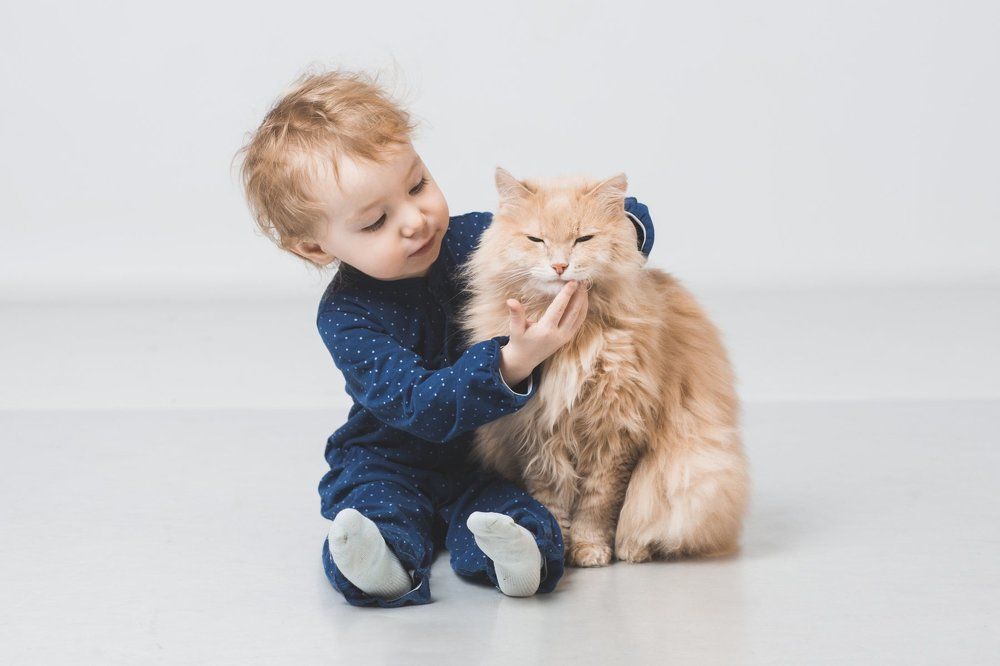 Васька, улыбайся!