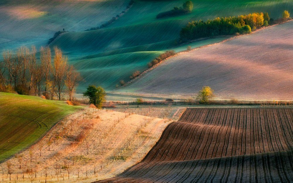 Утреннее волнение